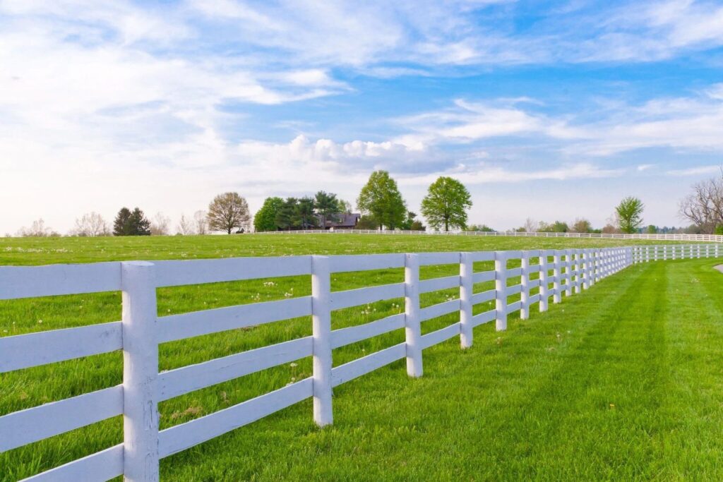 A white four-rail fence along a Kentucky pasture